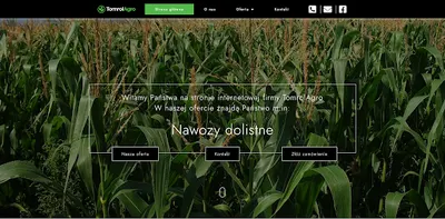 Wp Woo - Strony internetowe Olsztyn sklepy internetowe pozycjonowanie wizytówki Google